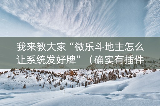 我来教大家“微乐斗地主怎么让系统发好牌”（确实有插件吗)