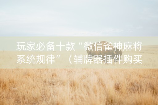 玩家必备十款“微信雀神麻将系统规律”（辅牌器插件购买)