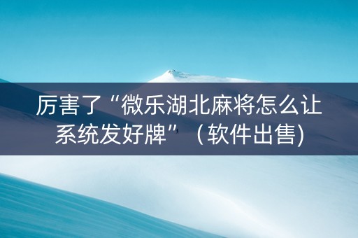 厉害了“微乐湖北麻将怎么让系统发好牌”（软件出售)