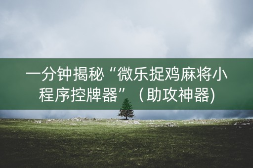 一分钟揭秘“微乐捉鸡麻将小程序控牌器”（助攻神器)