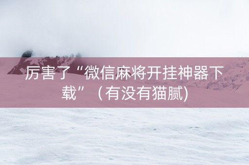 厉害了“微信麻将开挂神器下载”（有没有猫腻)