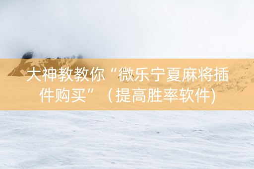 大神教教你“微乐宁夏麻将插件购买”（提高胜率软件)