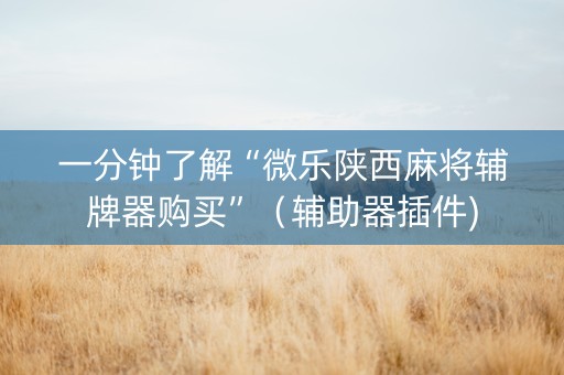 一分钟了解“微乐陕西麻将辅牌器购买”（辅助器插件)