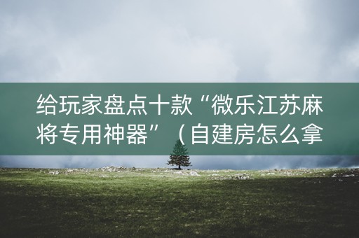 给玩家盘点十款“微乐江苏麻将专用神器”（自建房怎么拿好牌)
