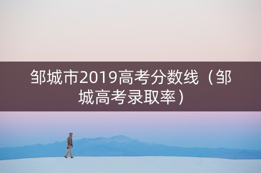 邹城市2019高考分数线（邹城高考录取率）