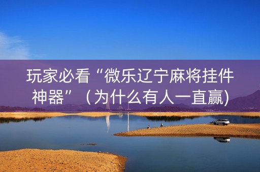 玩家必看“微乐辽宁麻将挂件神器”（为什么有人一直赢)