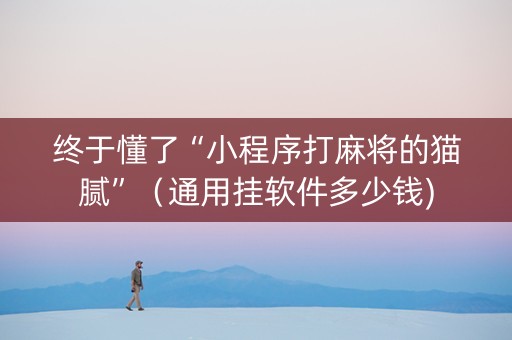 终于懂了“小程序打麻将的猫腻”（通用挂软件多少钱)