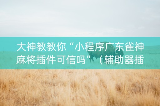 大神教教你“小程序广东雀神麻将插件可信吗”（辅助器插件)