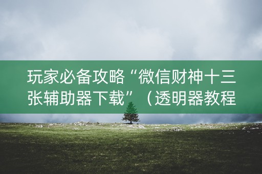 玩家必备攻略“微信财神十三张辅助器下载”（透明器教程)