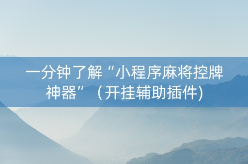 一分钟了解“小程序麻将控牌神器”（开挂辅助插件)