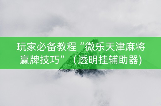 玩家必备教程“微乐天津麻将赢牌技巧”（透明挂辅助器)