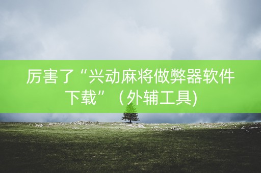 厉害了“兴动麻将做弊器软件下载”（外辅工具)
