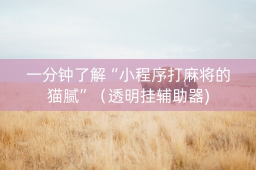 一分钟了解“小程序打麻将的猫腻”（透明挂辅助器)