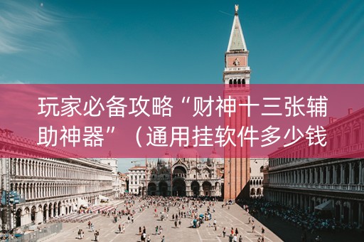 玩家必备攻略“财神十三张辅助神器”（通用挂软件多少钱)