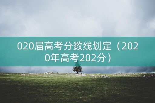 020届高考分数线划定（2020年高考202分）