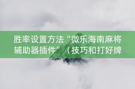 胜率设置方法“微乐海南麻将辅助器插件”（技巧和打好牌方法)