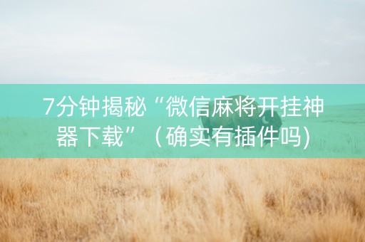 7分钟揭秘“微信麻将开挂神器下载”（确实有插件吗)