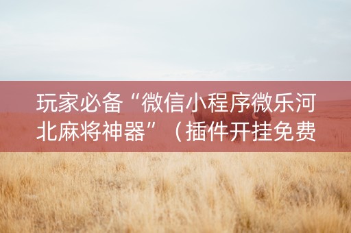 玩家必备“微信小程序微乐河北麻将神器”（插件开挂免费AI)