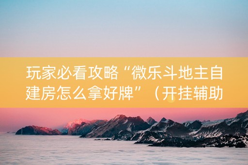 玩家必看攻略“微乐斗地主自建房怎么拿好牌”（开挂辅助器插件)