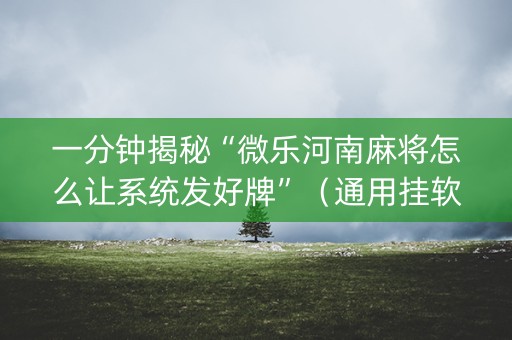 一分钟揭秘“微乐河南麻将怎么让系统发好牌”（通用挂软件多少钱)