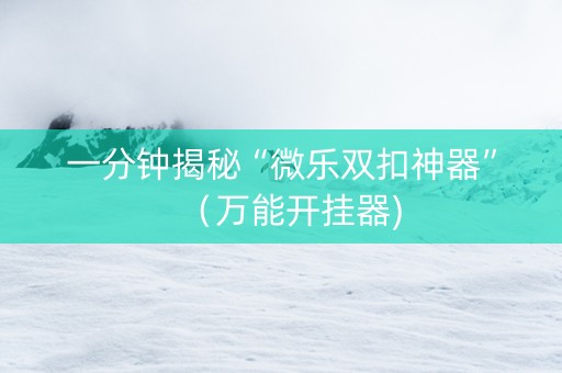 一分钟揭秘“微乐双扣神器”（万能开挂器)