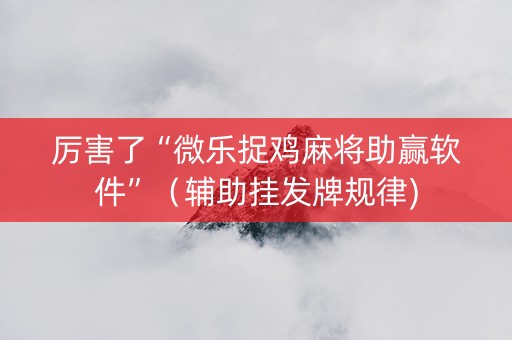 厉害了“微乐捉鸡麻将助赢软件”（辅助挂发牌规律)