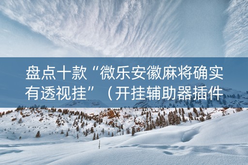 盘点十款“微乐安徽麻将确实有透视挂”（开挂辅助器插件)
