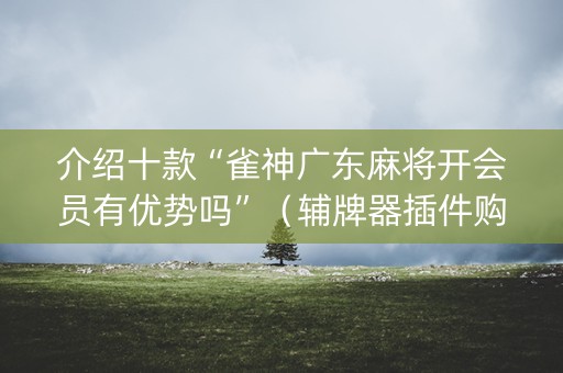 介绍十款“雀神广东麻将开会员有优势吗”（辅牌器插件购买)