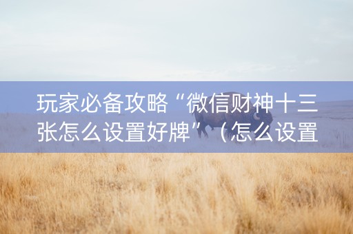 玩家必备攻略“微信财神十三张怎么设置好牌”（怎么设置才能赢)