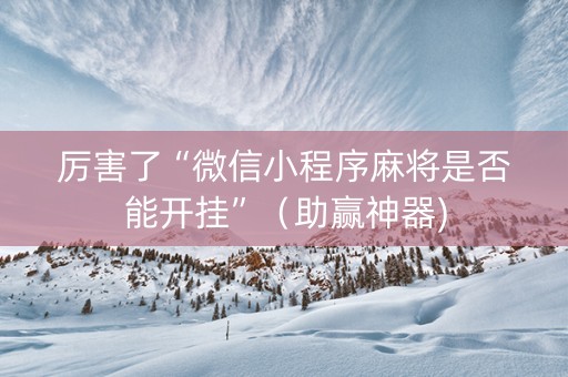 厉害了“微信小程序麻将是否能开挂”（助赢神器)