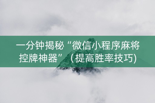 一分钟揭秘“微信小程序麻将控牌神器”（提高胜率技巧)