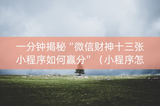 一分钟揭秘“微信财神十三张小程序如何赢分”（小程序怎么才会赢)
