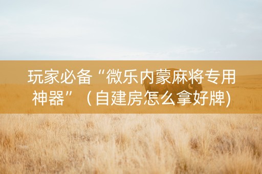 玩家必备“微乐内蒙麻将专用神器”（自建房怎么拿好牌)