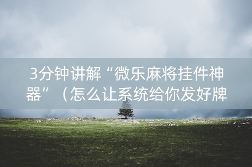 3分钟讲解“微乐麻将挂件神器”（怎么让系统给你发好牌)