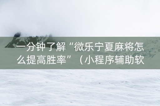 一分钟了解“微乐宁夏麻将怎么提高胜率”（小程序辅助软件)