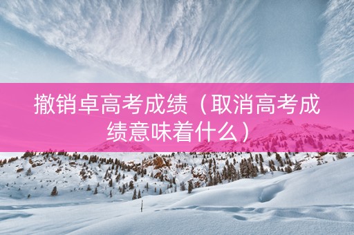 撤销卓高考成绩（取消高考成绩意味着什么）