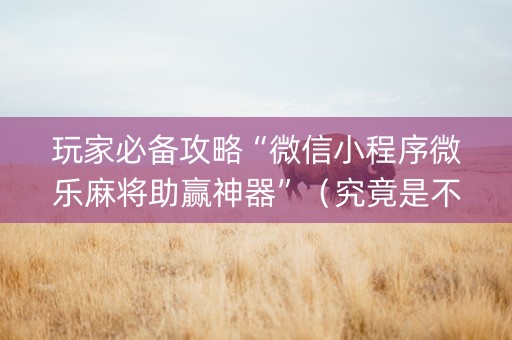 玩家必备攻略“微信小程序微乐麻将助赢神器”（究竟是不是有挂)