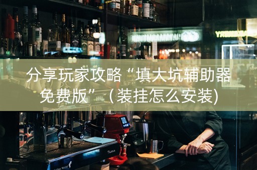 分享玩家攻略“填大坑辅助器免费版”（装挂怎么安装)