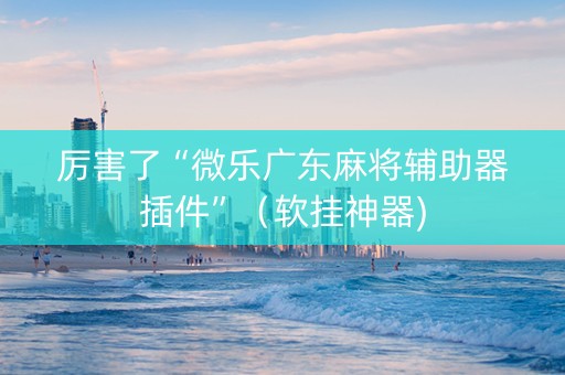 厉害了“微乐广东麻将辅助器插件”（软挂神器)