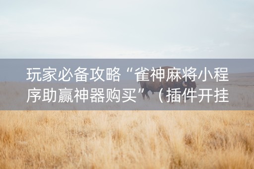 玩家必备攻略“雀神麻将小程序助赢神器购买”（插件开挂免费AI)