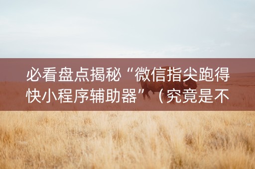 必看盘点揭秘“微信指尖跑得快小程序辅助器”（究竟是不是有挂)
