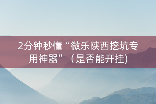 2分钟秒懂“微乐陕西挖坑专用神器”（是否能开挂)