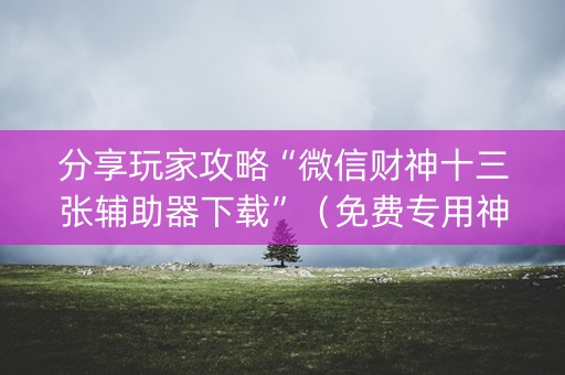 分享玩家攻略“微信财神十三张辅助器下载”（免费专用神器)