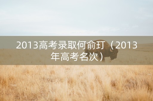 2013高考录取何俞玎（2013年高考名次）