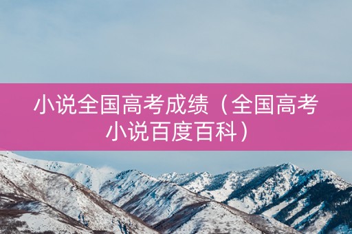 小说全国高考成绩（全国高考小说百度百科）