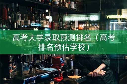高考大学录取预测排名（高考排名预估学校）
