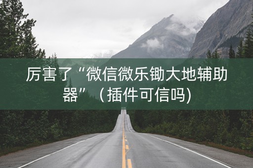 厉害了“微信微乐锄大地辅助器”（插件可信吗)