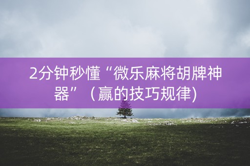 2分钟秒懂“微乐麻将胡牌神器”（赢的技巧规律)