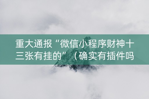 重大通报“微信小程序财神十三张有挂的”（确实有插件吗)