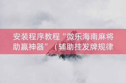 安装程序教程“微乐海南麻将助赢神器”（辅助挂发牌规律)
